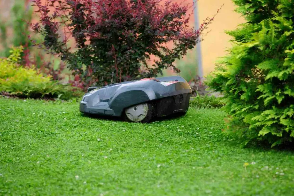 Robotic lawn mower in a garden