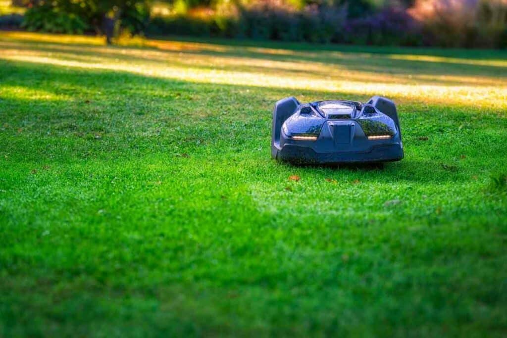 Robotic mower cutting grass