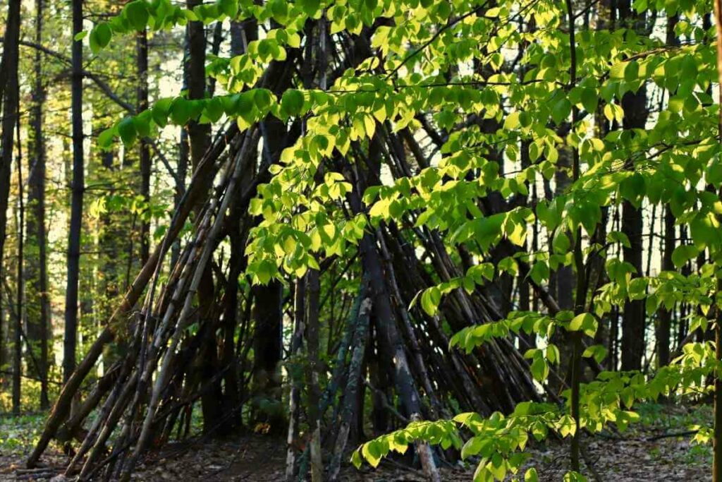 A Unique TeePee Treehouse