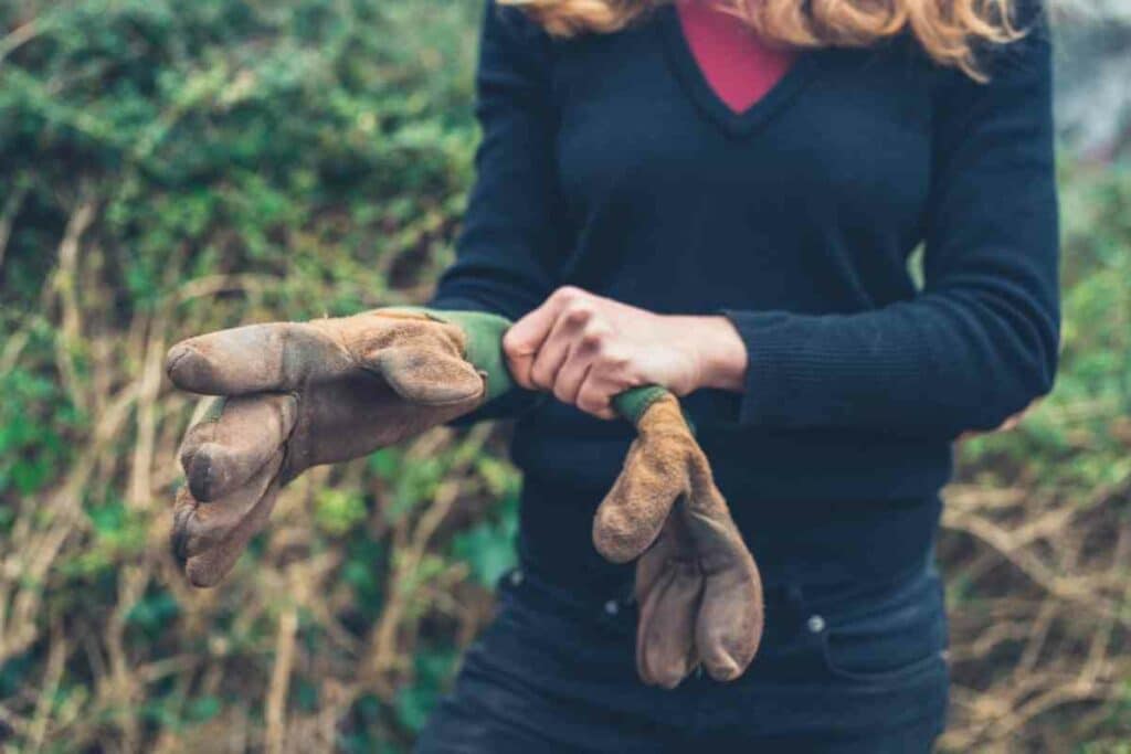 Gloves for gardening for thorns