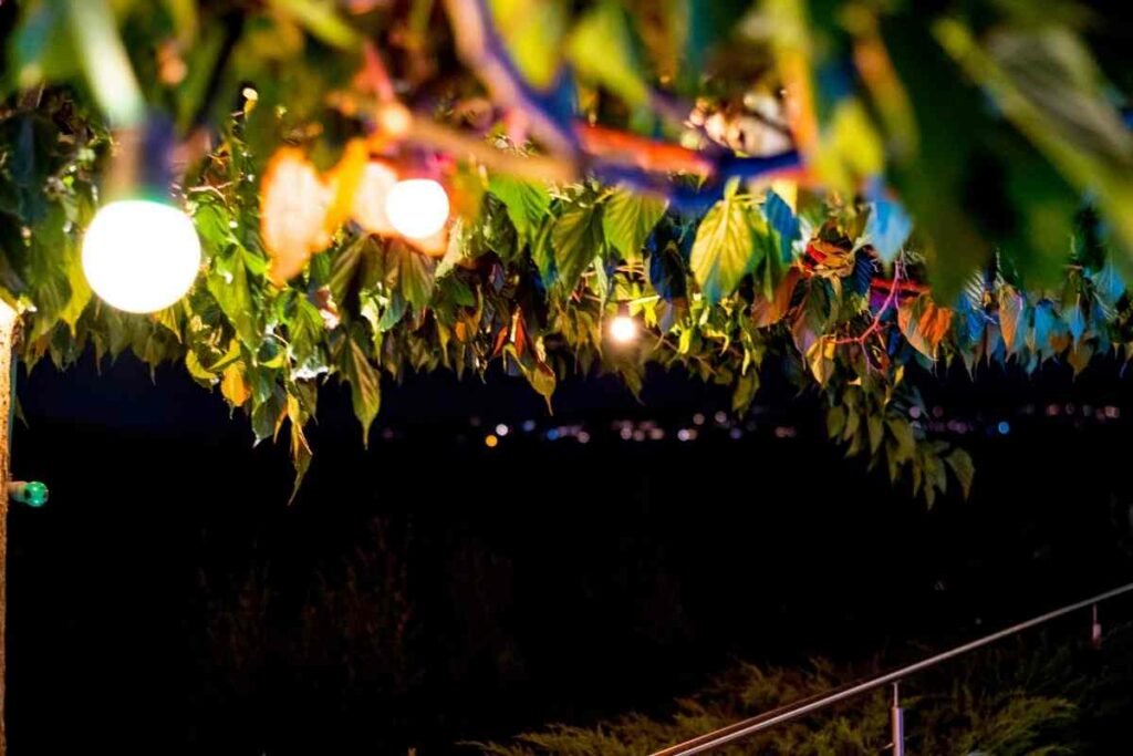 9 Unusual Festoon Lights for Your Garden