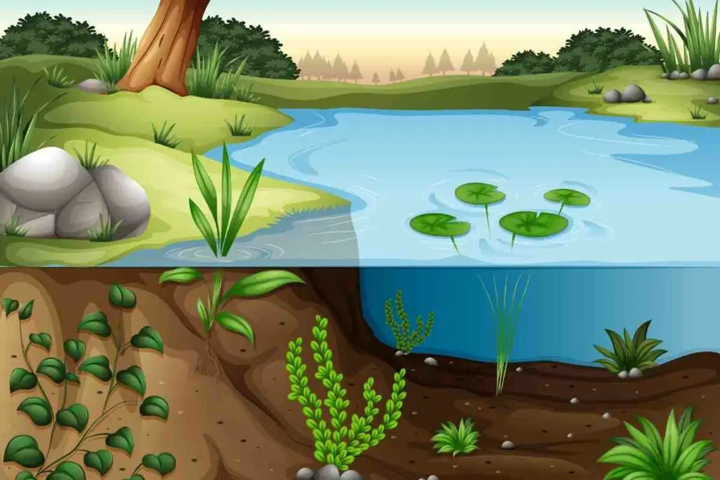 4LTR Aquatic Compost Soil Potting Garden Planting Pond fish/Tropical Fish**loose 