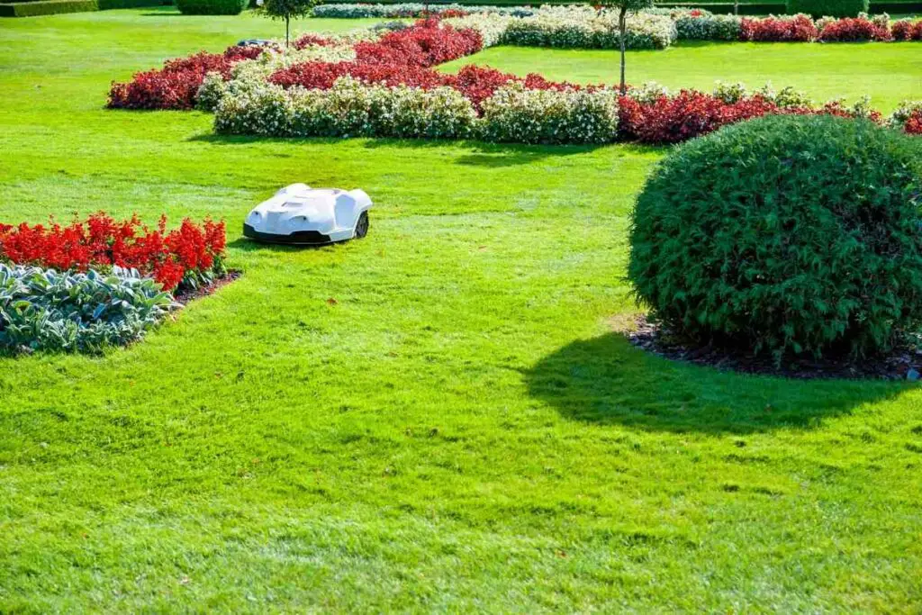 robotic mower and flower bed