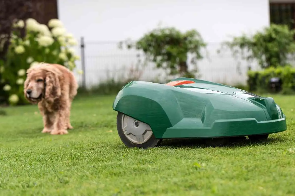 How Do Robotic Mowers Handle Dog Poop?