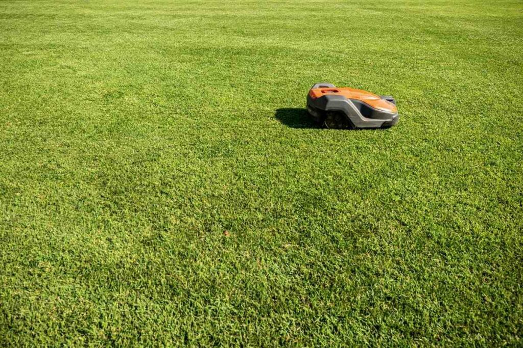 Are Robotic Mowers Safe For Children and Pets