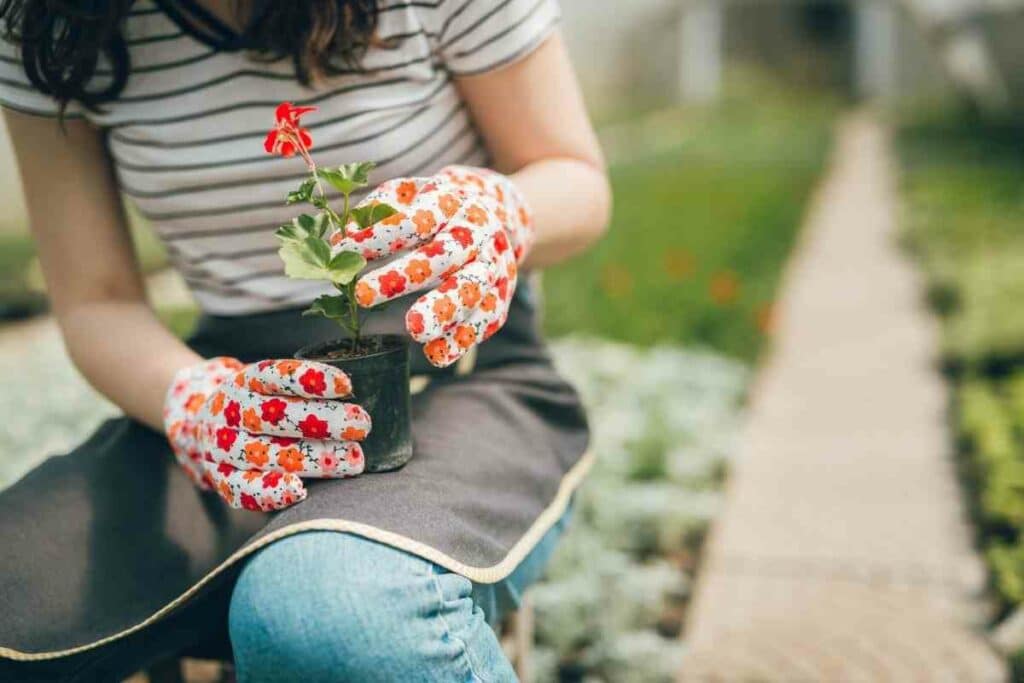 7 Rolling Garden Seats Perfect For All Ages