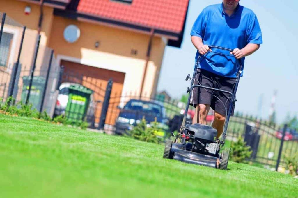 Best time for mowing the lawn tips