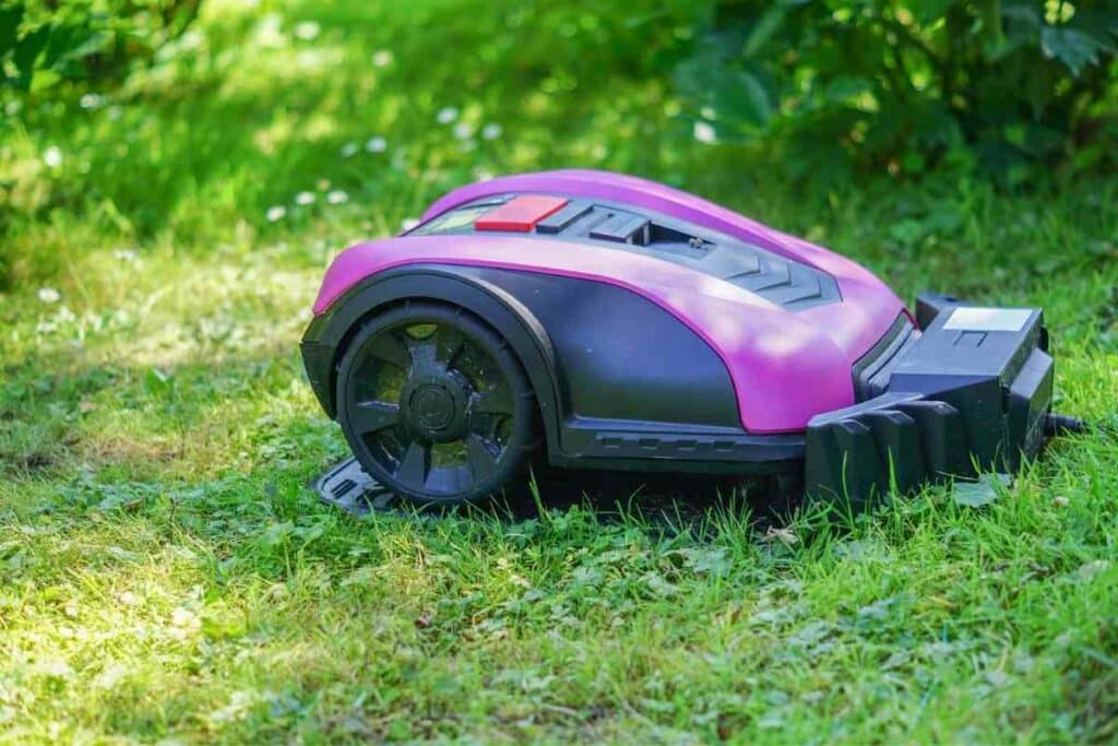 Robotic mower struggle with long weed