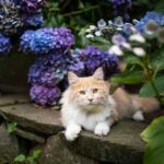 Fragrant Plants That Repel Cats