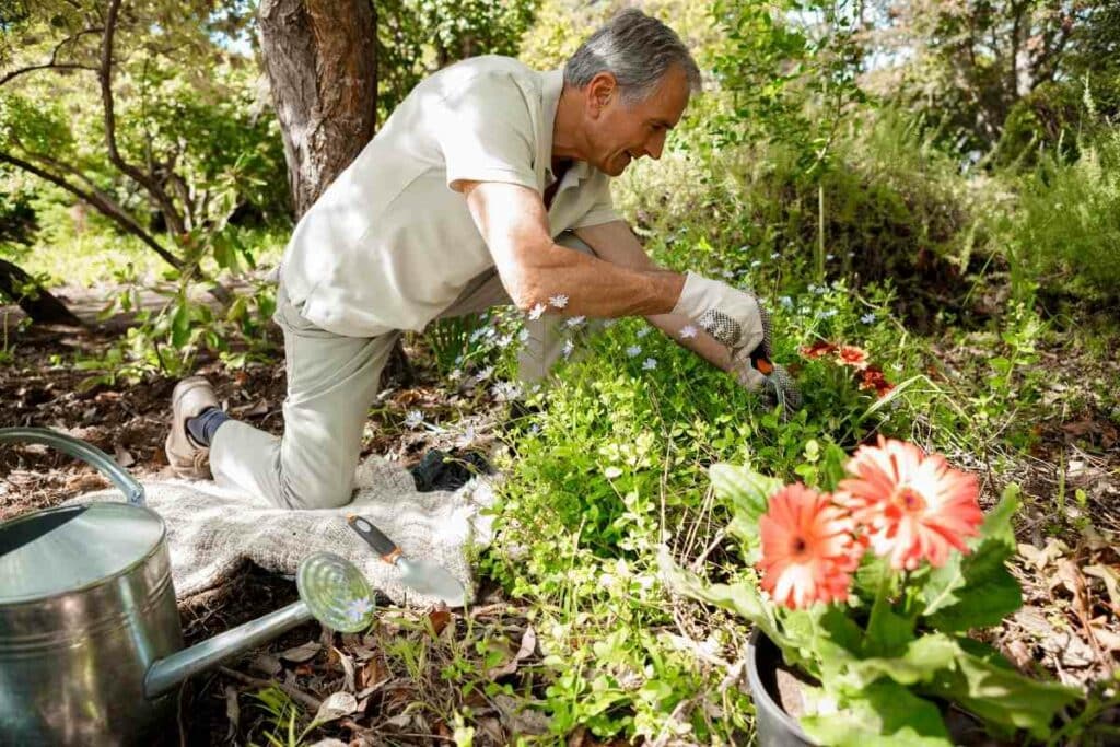 Get garden kneeler