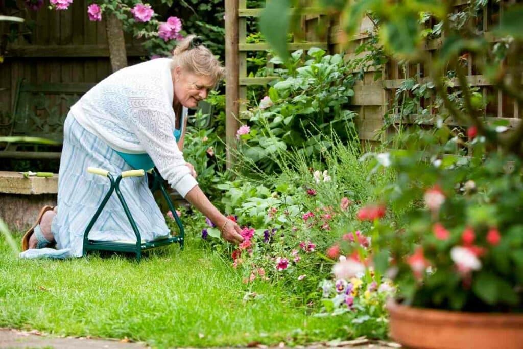 Best Garden Kneeler And Stool