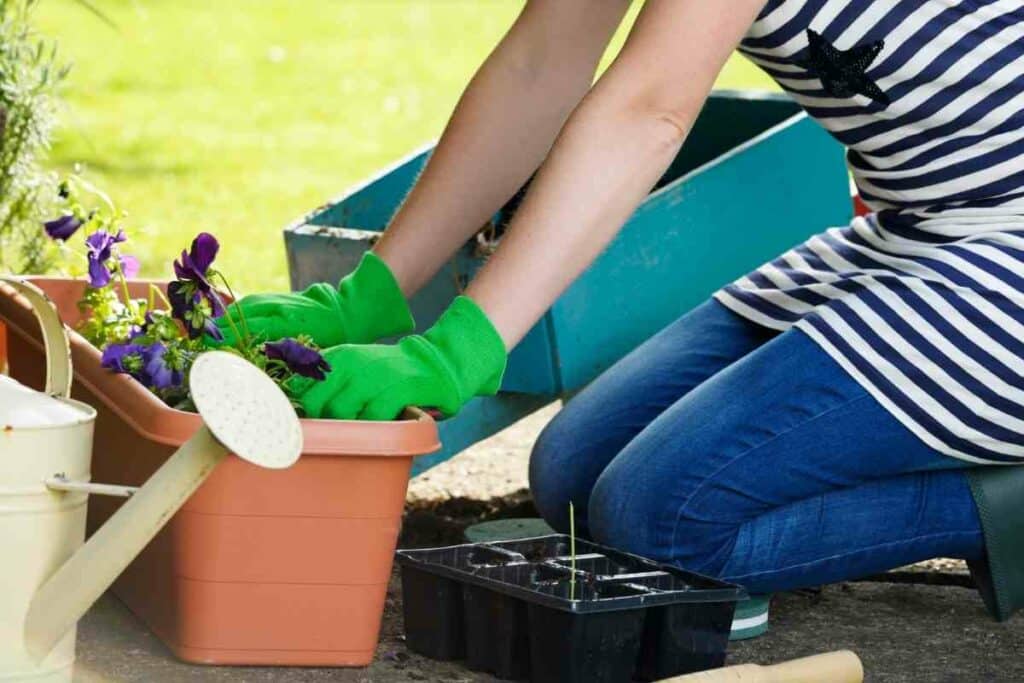 Garden kneelers and stools