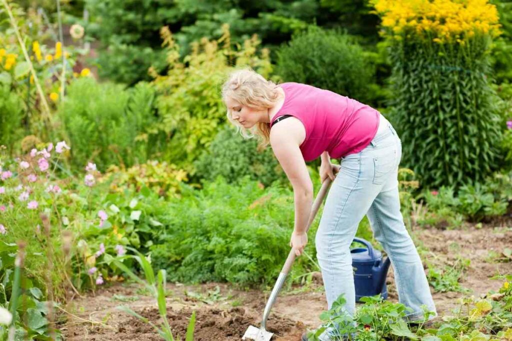 Gardening tips