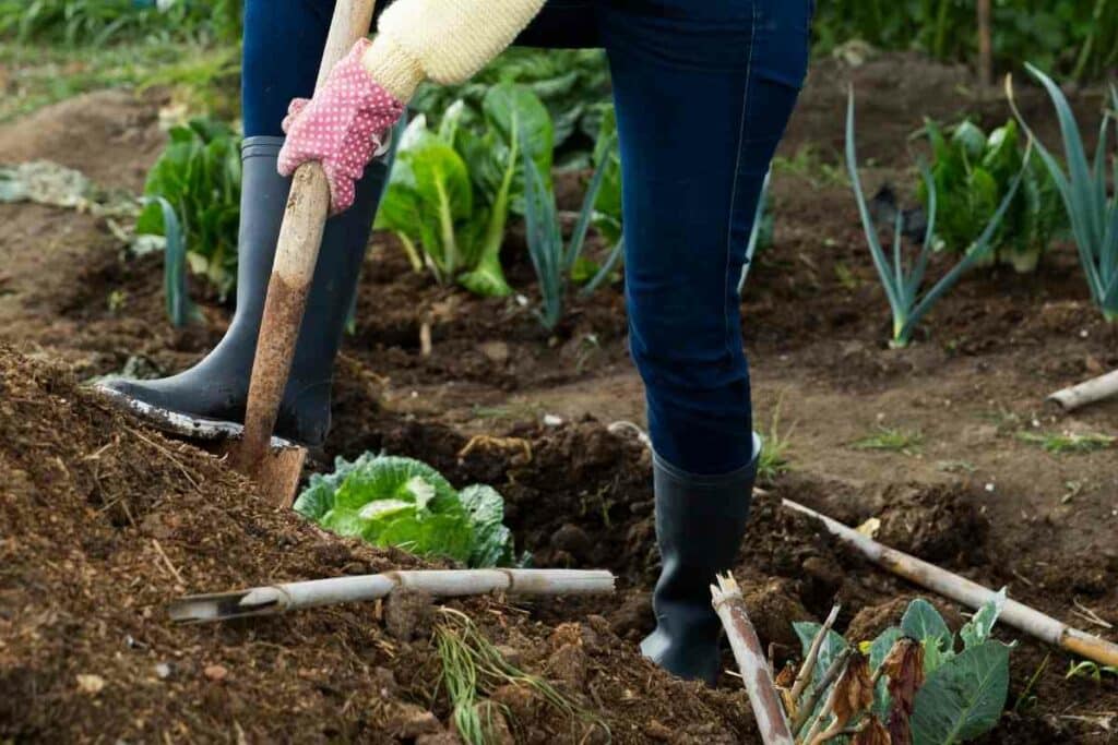 Working in garden