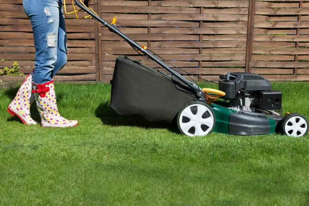 Mowing lawn on Sunday benefits and tips