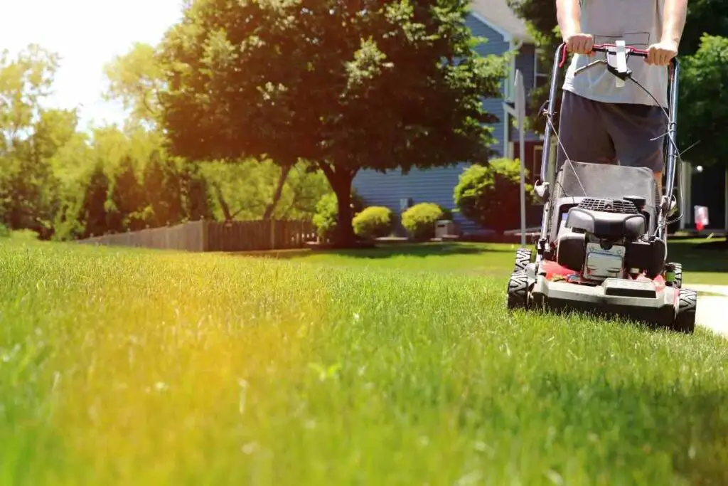 Mowing lawn on Sunday: should you do it?