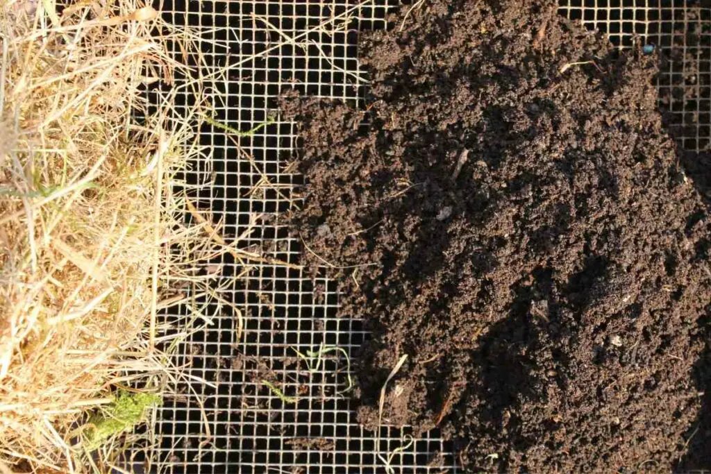 Peat free compost soil