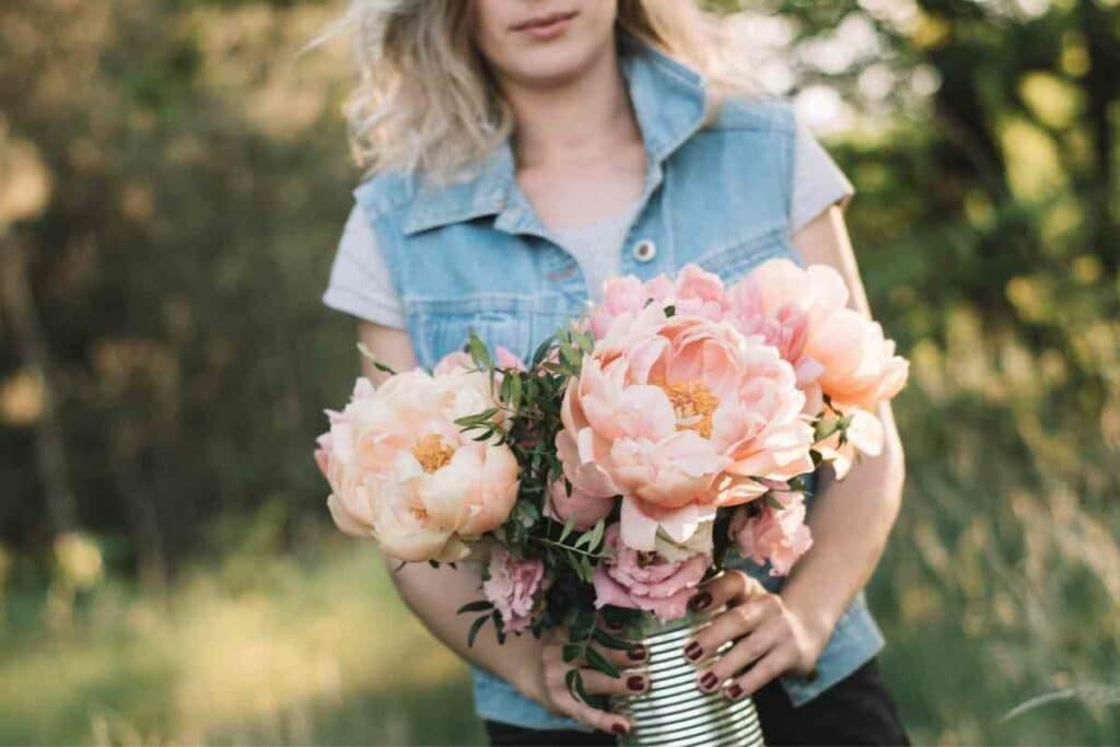 Light pink Peony flower