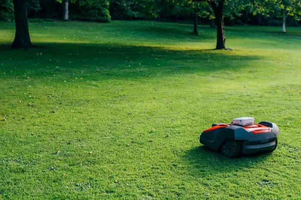 Robotic mower will self charge