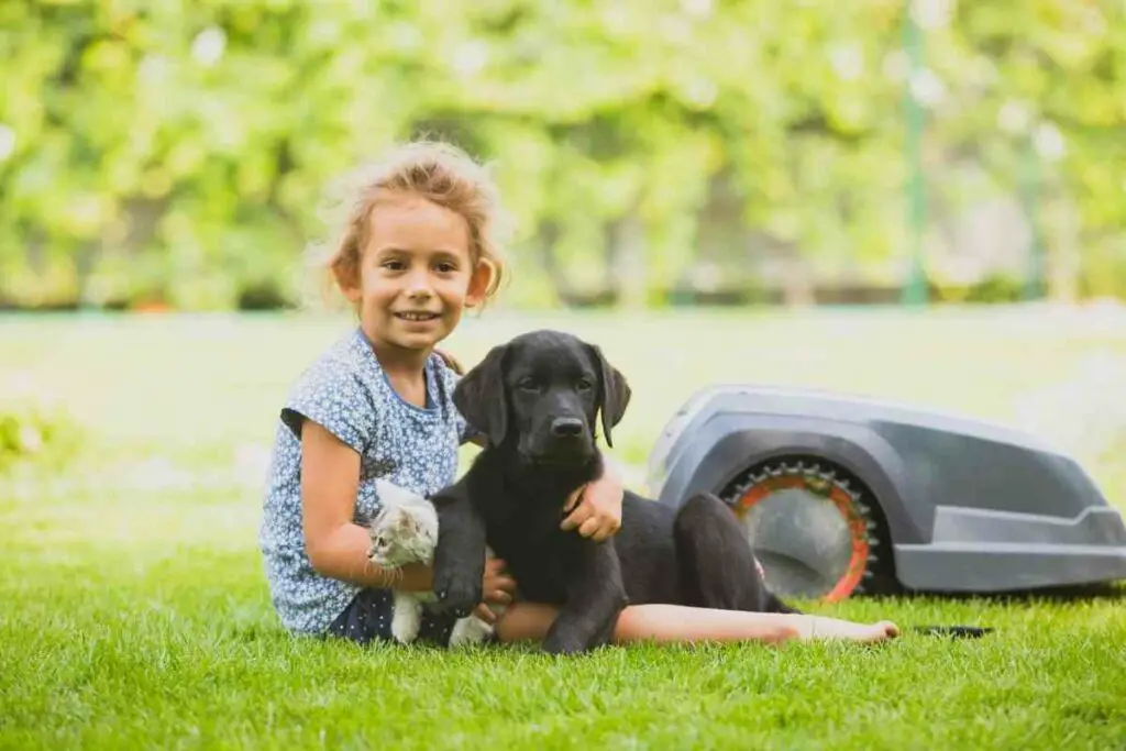 Robotic mower pets and child
