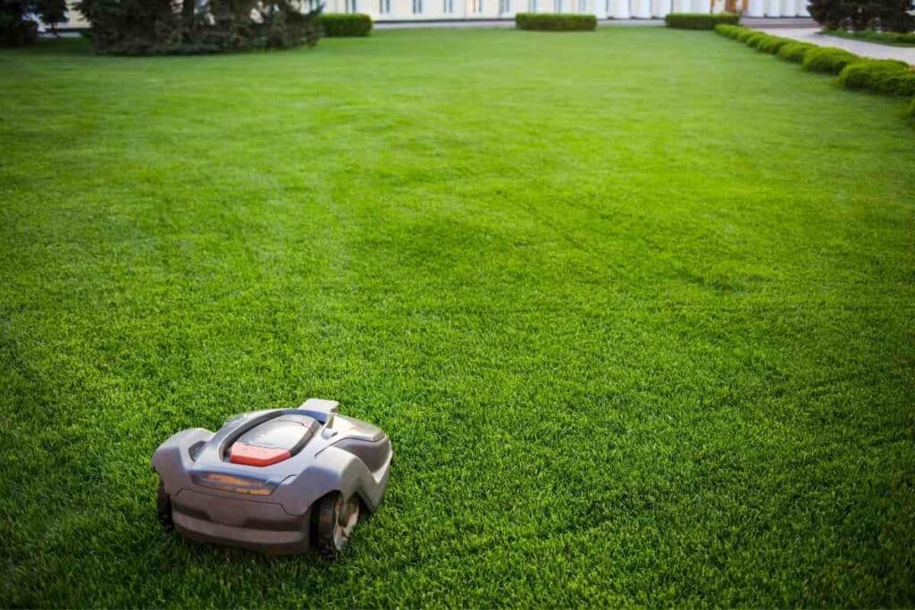 Robotic mowers charging station