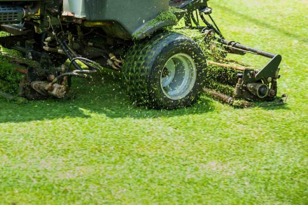 Robotic mowers golf lawn