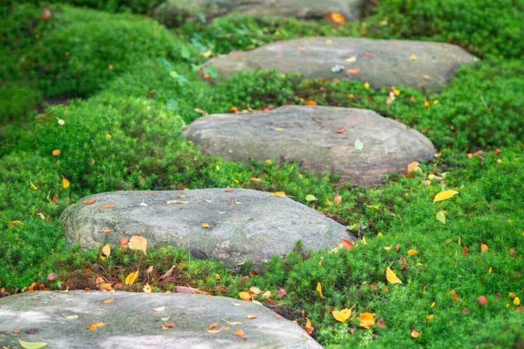 Rough garden paths