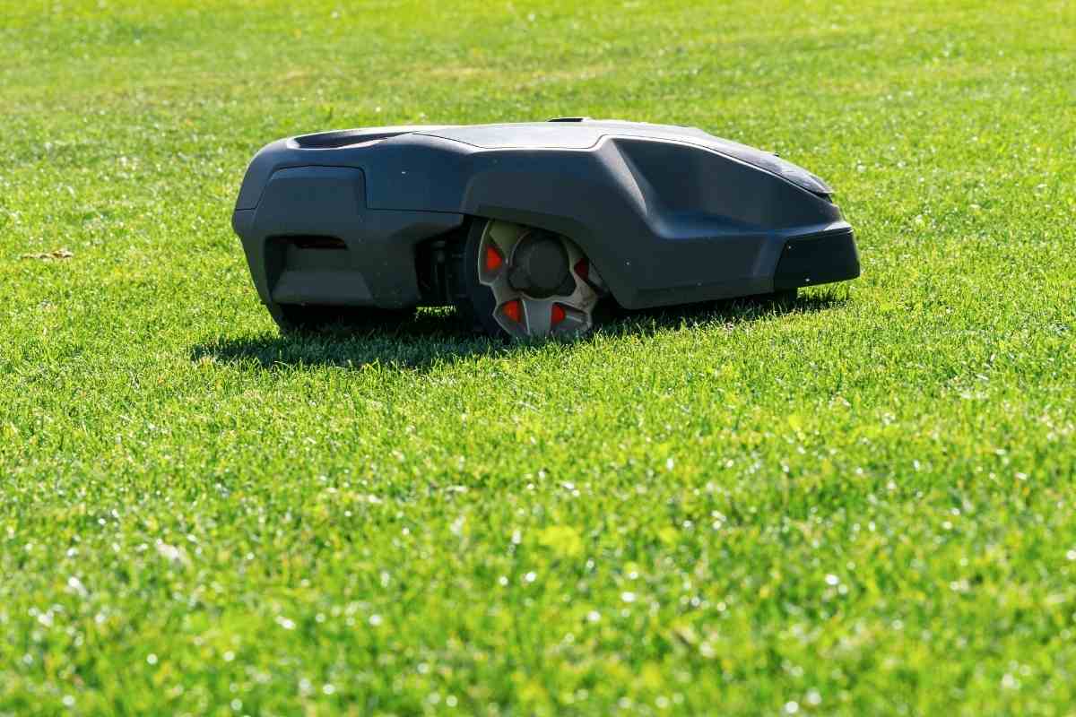 How Expensive Are Robotic Mowers to Run? Gardenia Organic