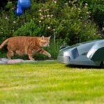 Which Robotic Mower Trims the Closest to the Edge?
