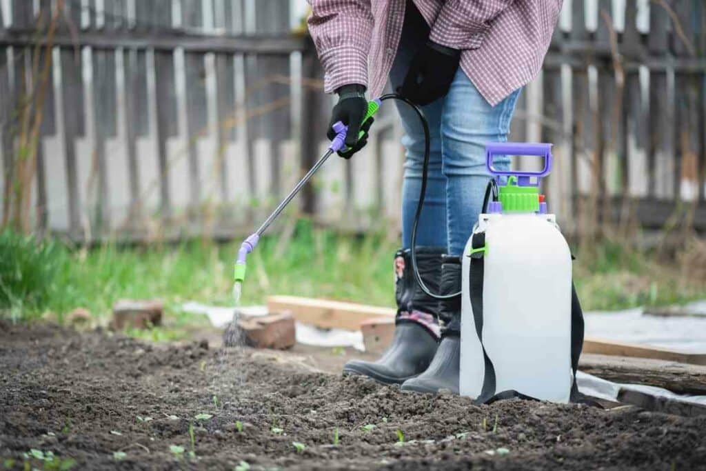 Best Garden Pump Sprayers