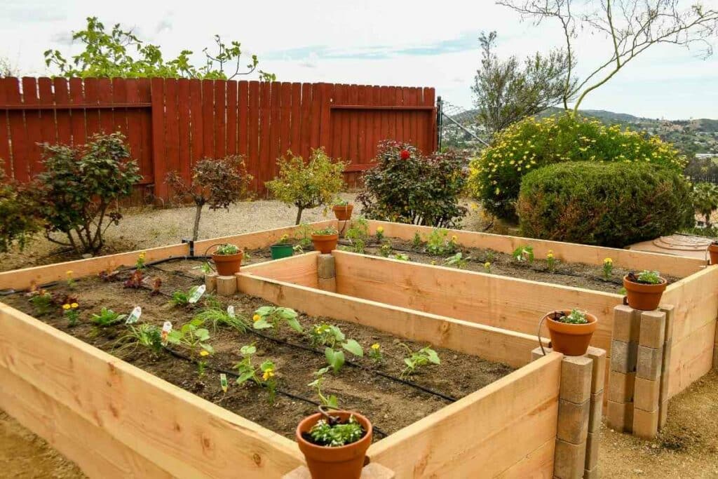 best wood for raised garden beds