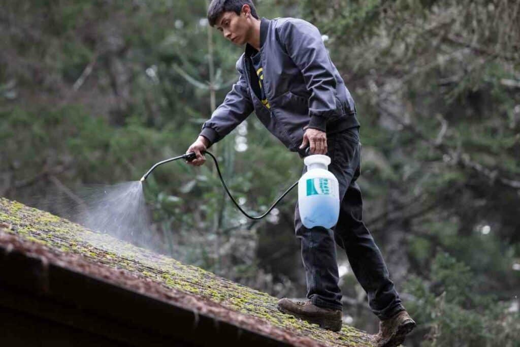 Getting rid of roof moss tips