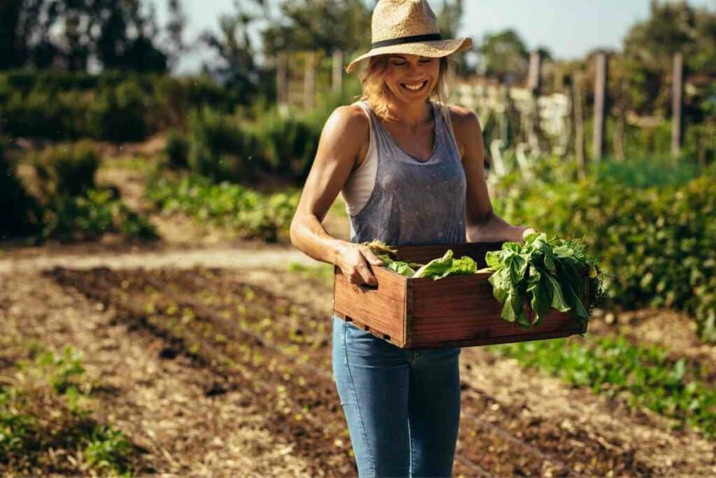 Is It Cheaper To Buy Vegetables Or Grow Them?