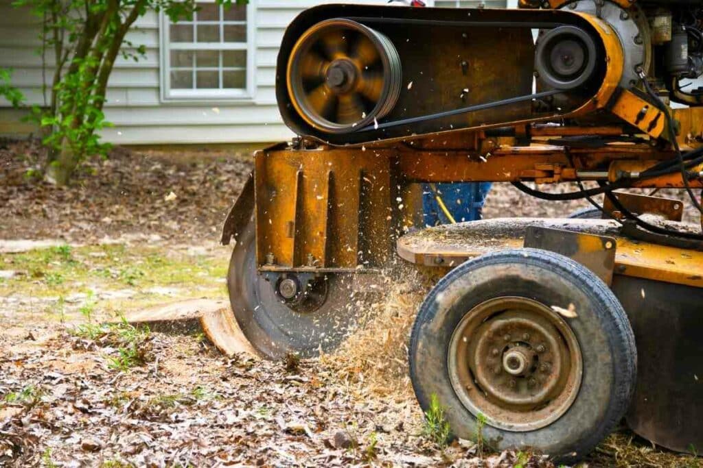 Grinding the tree stump