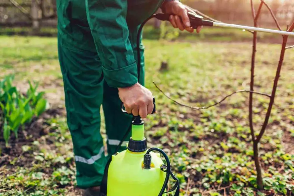 How Do Garden Pump Sprayers Work?