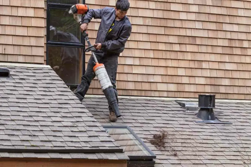 How to kill roof moss quickly