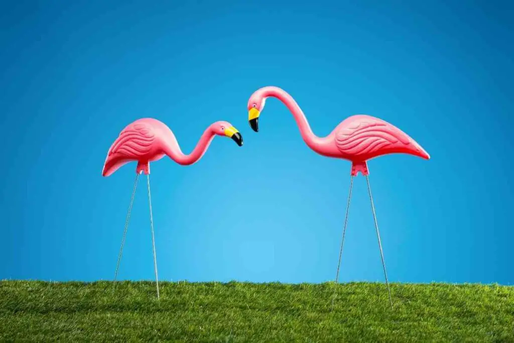 Pink Flamingo In Your Back Yard meaning