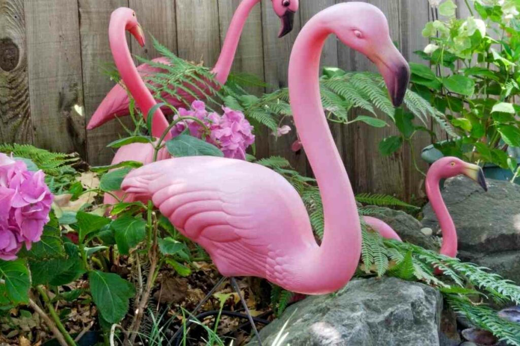 Pink flamingo meaning explained