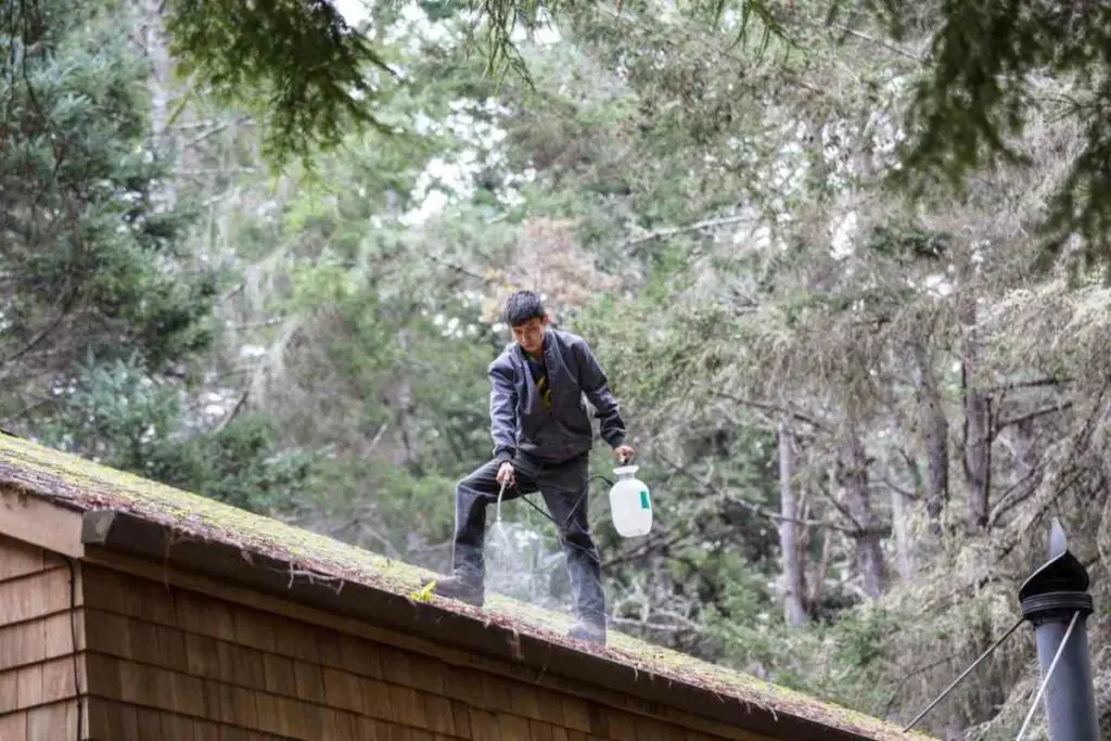 Using vinegar to get rid of roof moss