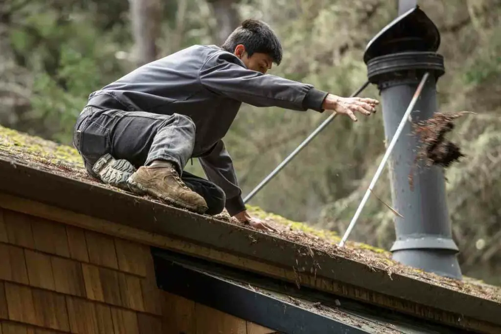 Scrapping roof moss from your house