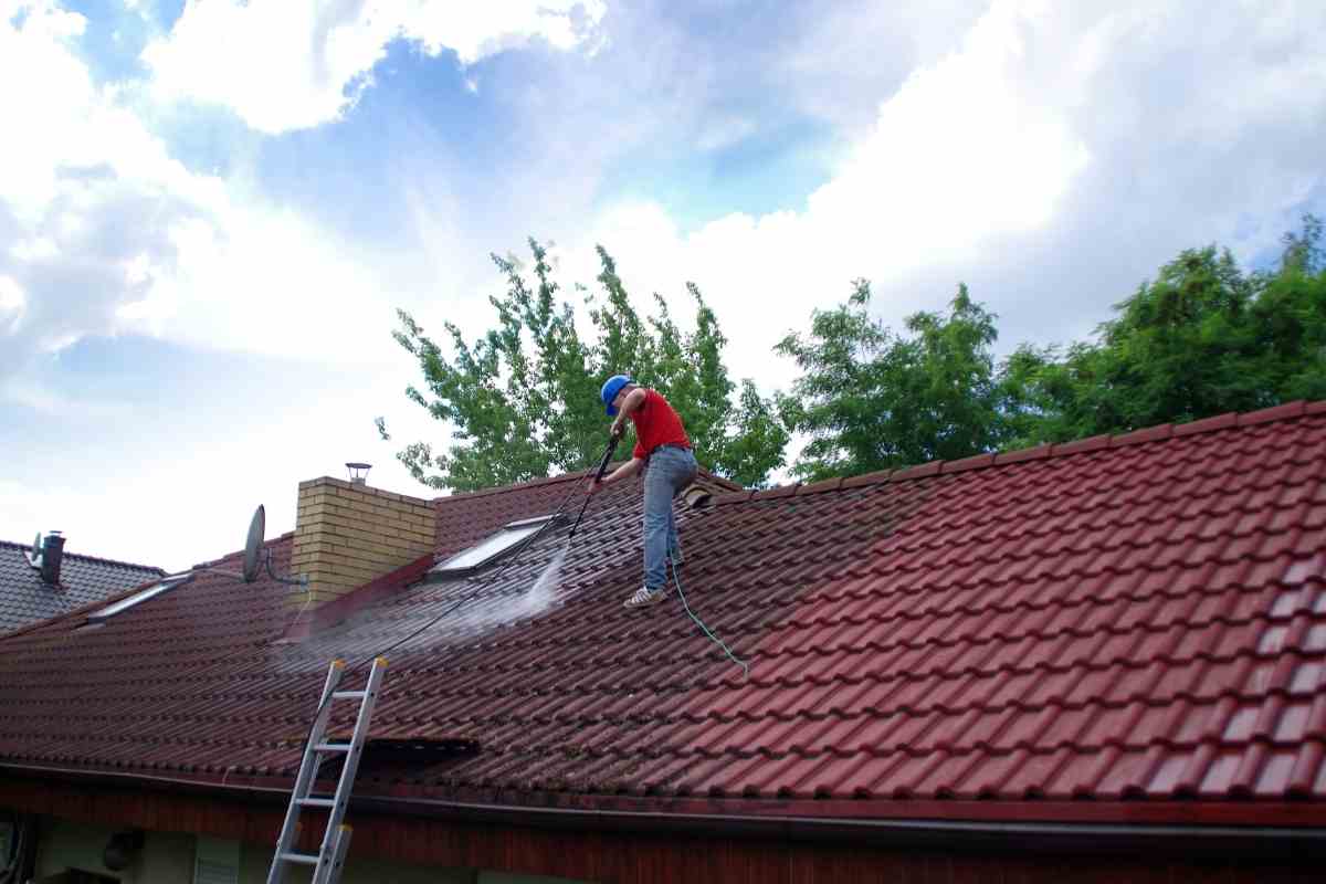 Best Roof Moss Killer (Free And Paid Methods) Gardenia Organic