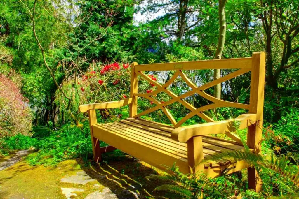 Beautiful Wood bench in a backyard