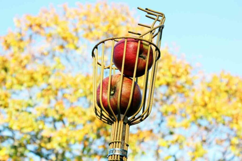 Picking apples with tools