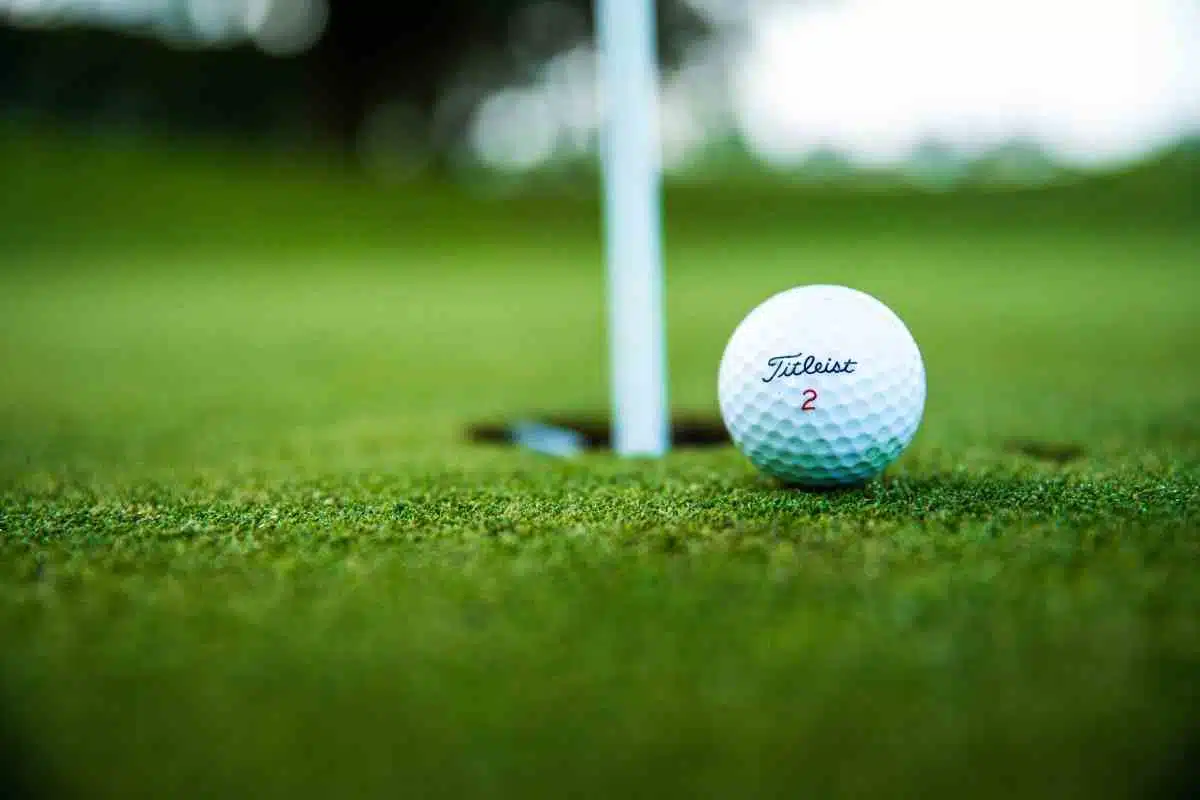 Backyard Golf Games