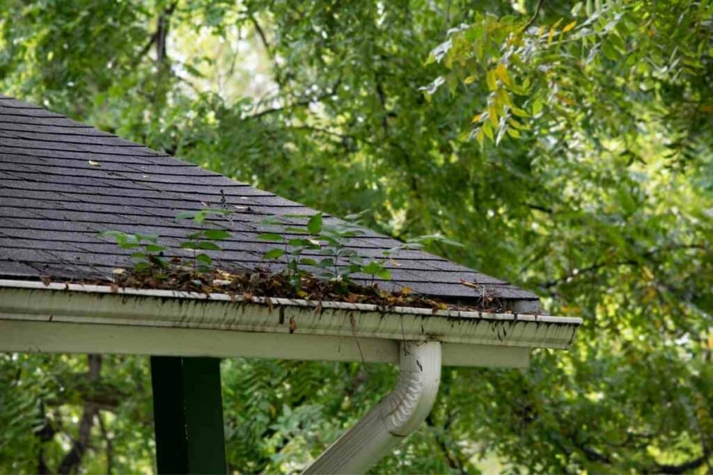 How to clean tigers stripes on aluminum gutters tips