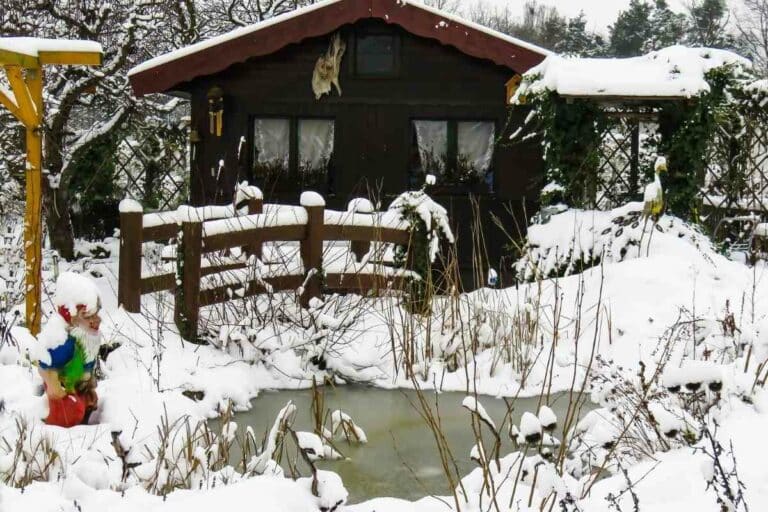 Do Pond Plants Die in Winter? (Overwintering Pond Plant Guide