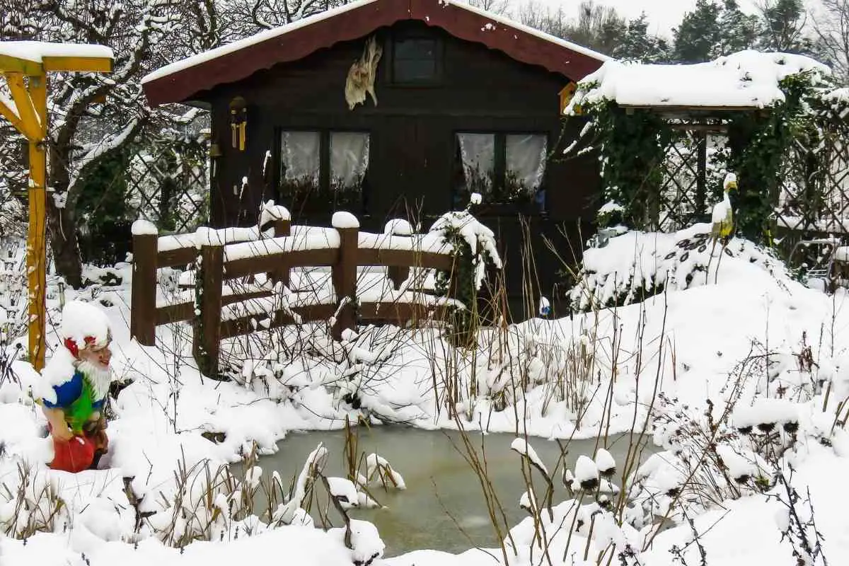 Do Pond Plants Die in Winter? (Overwintering Pond Plant Guide)