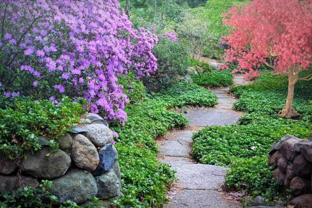 Forest garden flowers