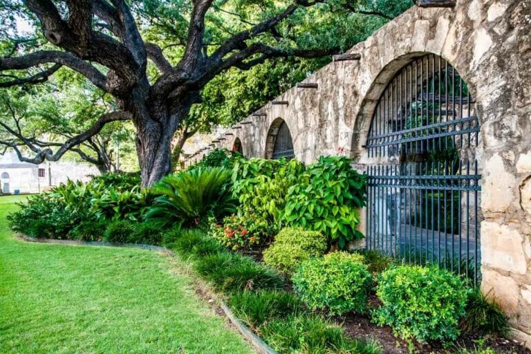 25 Garden Wall Ideas That You’ll Love - Gardenia Organic