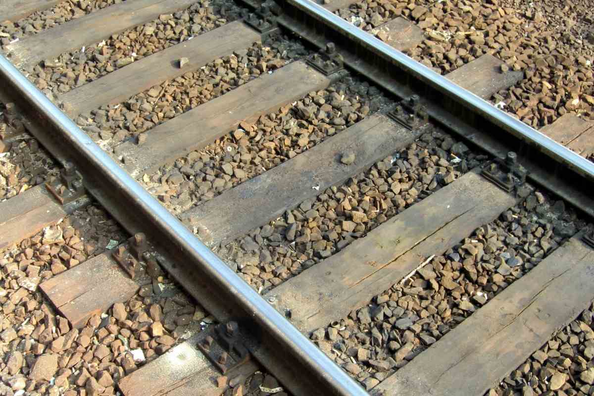 Complete Guide to Backyard Train Tracks - Gardenia Organic